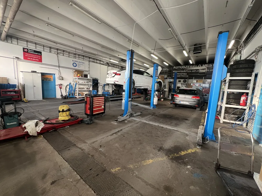 25 év szakmai tapasztalat